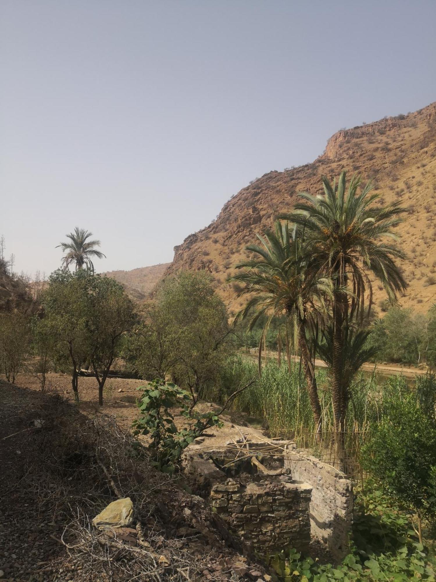 Auberge Kasbah Amoun Taliouine Εξωτερικό φωτογραφία